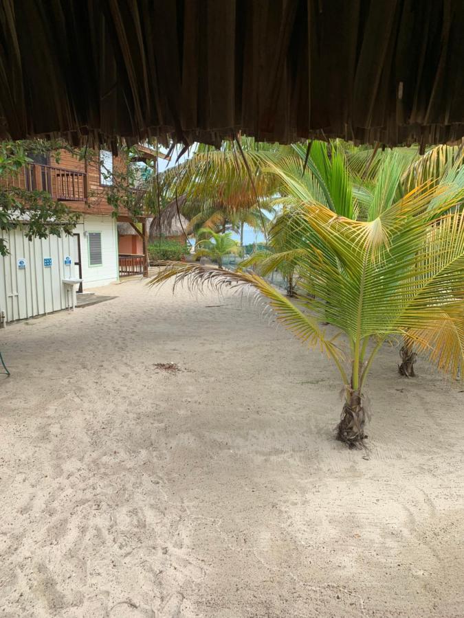 Heavens Gate Beach Bungalows Villa Placencia Eksteriør billede